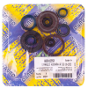 Centauro Motorwellendichtringsatz / 682A129SR