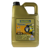 Ravenol 5W-30 vollsynthtisches 4-Takt-Motorradöl Ester 4L.
