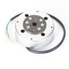 SGR Lichtmaschine+Polrad