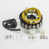 ElectroSport Stator ESG 520