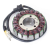 ElectroSport Stator S05, (technisch veränderte Statoren sind vom Umtausch ausgeschlossen)