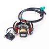 Geiwiz Lichtmaschine Stator 6 Spulen für GY6 125/150ccm