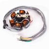 Geiwiz Lichtmaschine Stator
