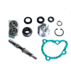 Vicma Reparaturkit Wasserpumpe für Kymco 250-300 LC
