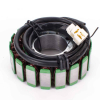 ElectroSport Stator ESG794 für Triumph 900-955 (Vergl.Nr.:26420471A)