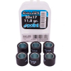 Polini 11,8 Gr. Rollenkit 20x17 -