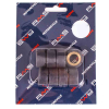 RMS 21 Gr. Variatorrollenkit 26x13 8PZ