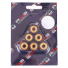 RMS 15,5 Gr. Variatorrollenkit 18X14 6PZ