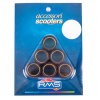 RMS 9 Gr. Variatorrollenkit 20,55X17 6PZ
