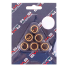 RMS 10 Gr. Variatorrollenkit 20X17 6PZ