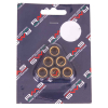RMS 5,1 Gr. Variatorrollenkit 16X13 6PZ