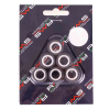 RMS 5,3 Gr. Variatorrollenkit 19X15,5 6PZ