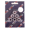 RMS 6 Gr. Variatorrollenkit 19X15,5 6PZ