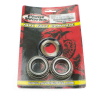 Pivot Works Steuerkopflager PWSSK-HQ01-001