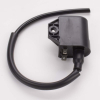 Extreme Voltage EV138 Zündspule